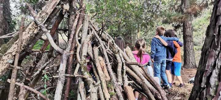 Ateliers en forêt, explorations, construction de cabanes