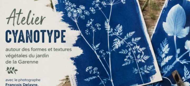 Atelier cyanotype dans le parc de la Garenne