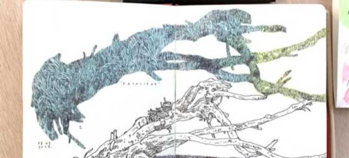 Atelier Gravure +12 ans