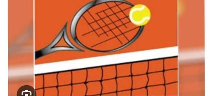 Tournoi de tennis des mégalithes de Carnac Tournoi de tennis des mégalithes de Carnac