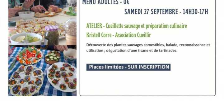 Atelier cueillette sauvage et cuisine Atelier cueillette sauvage et cuisine