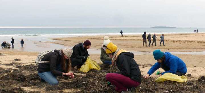 Nettoyage de plage à Kerhillio - Erdeven