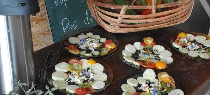 Reconnaître et cuisiner les plantes sauvages