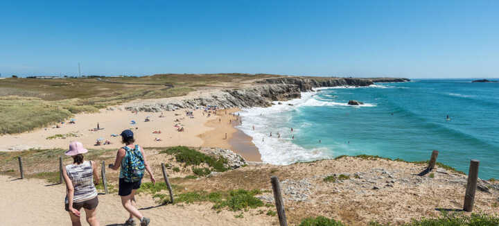 La Côte Sauvage : un paysage et une biodiversité à couper le souffle