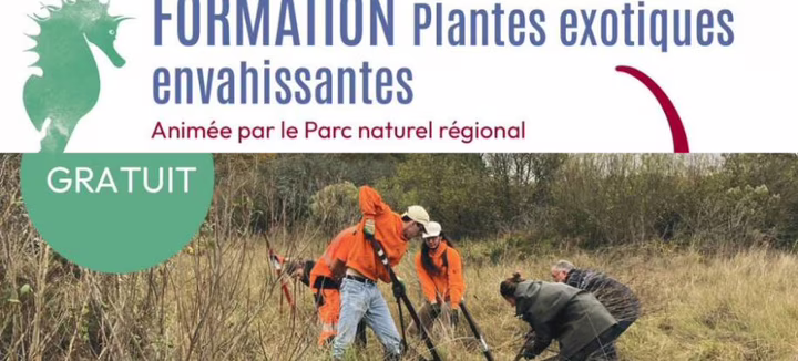 Formation plantes exotiques envahissantes