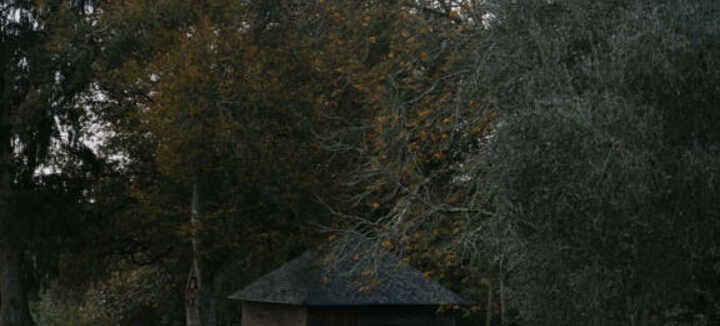 La Cabane La Cabane