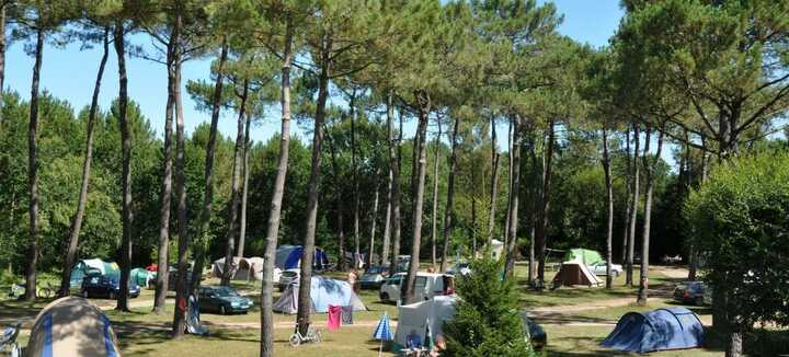Camping naturista CNBS La Pinède Camping naturista CNBS La Pinède
