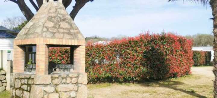 Camping Les Palmiers Camping Les Palmiers