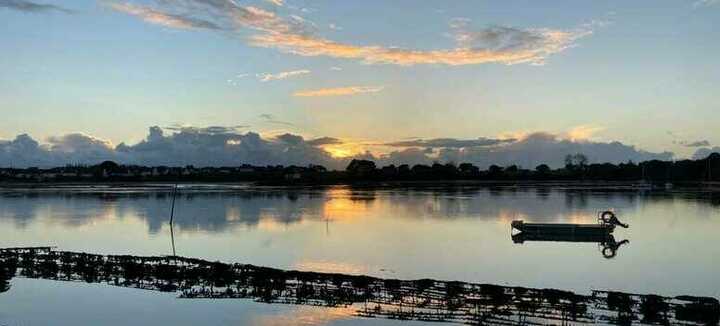 Larmor Ostrea - Ostras de la Ría de Etel Larmor Ostrea - Ostras de la Ría de Etel