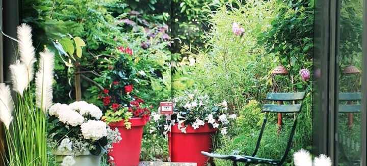 Botanic Botanic