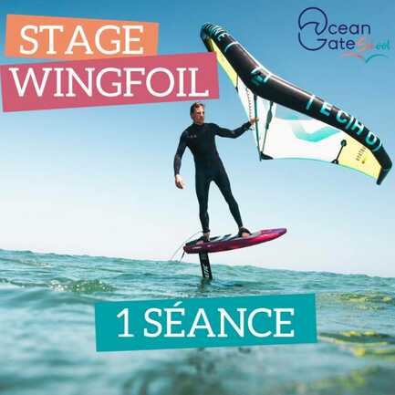 Stage WING