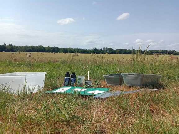 IMG_20250714_163640 1