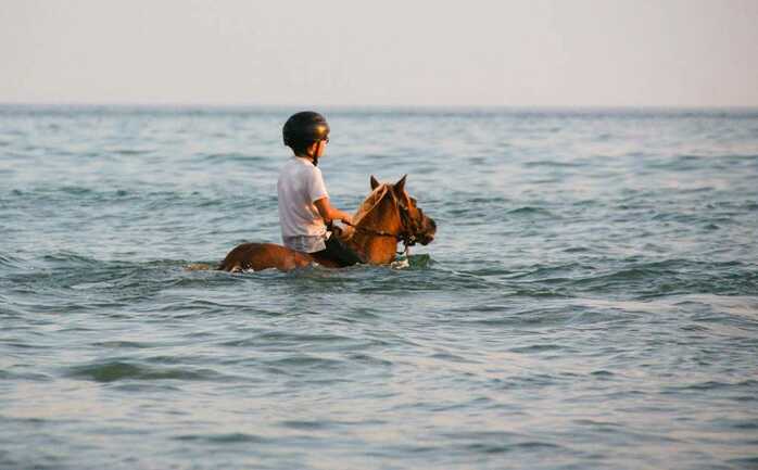 Erdeven Equitation ERDEVEN Morbihan Bretagne Sud