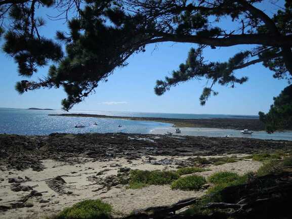 Les-Balades-de-Jackie-Baden-Golfe-du-Morbihan-Bretagne sud
