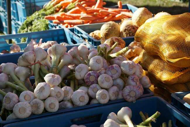 Marché de Belz