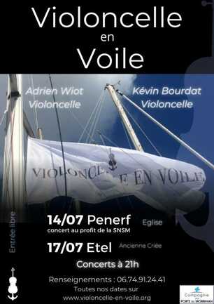 Violoncelle en voile