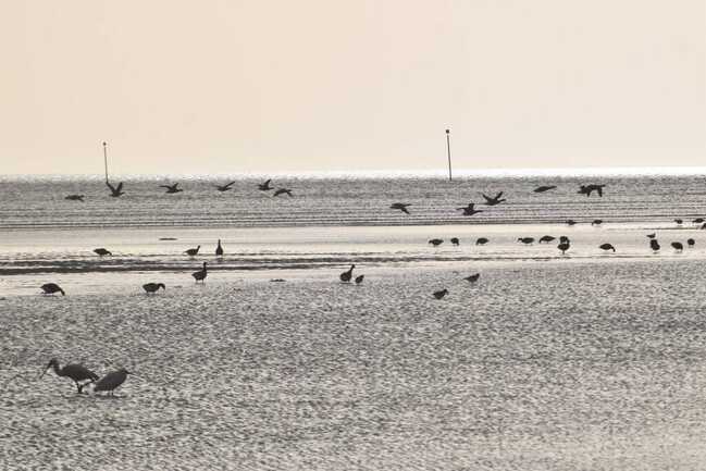 583855624_1759171398345770_208953194872522580_n