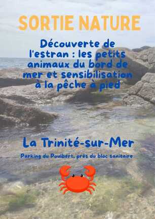 Découverte de l'estran 