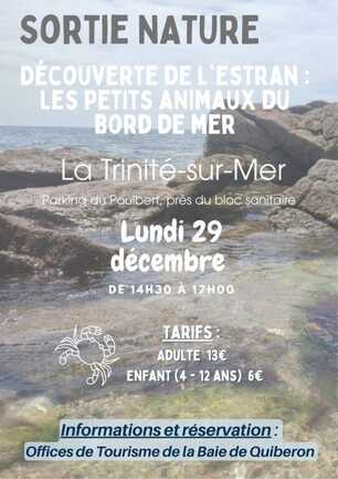 Découverte estran OCT 2025 - 1