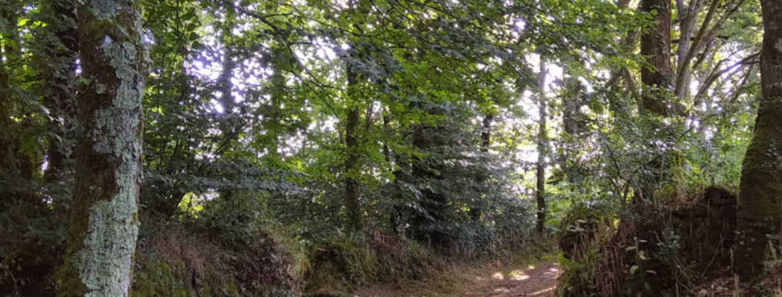 Balade contée au bord du Loch