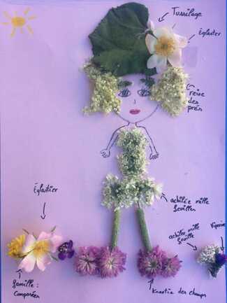 Le secret des plantes