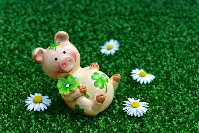 lucky-pig-3838149_1280