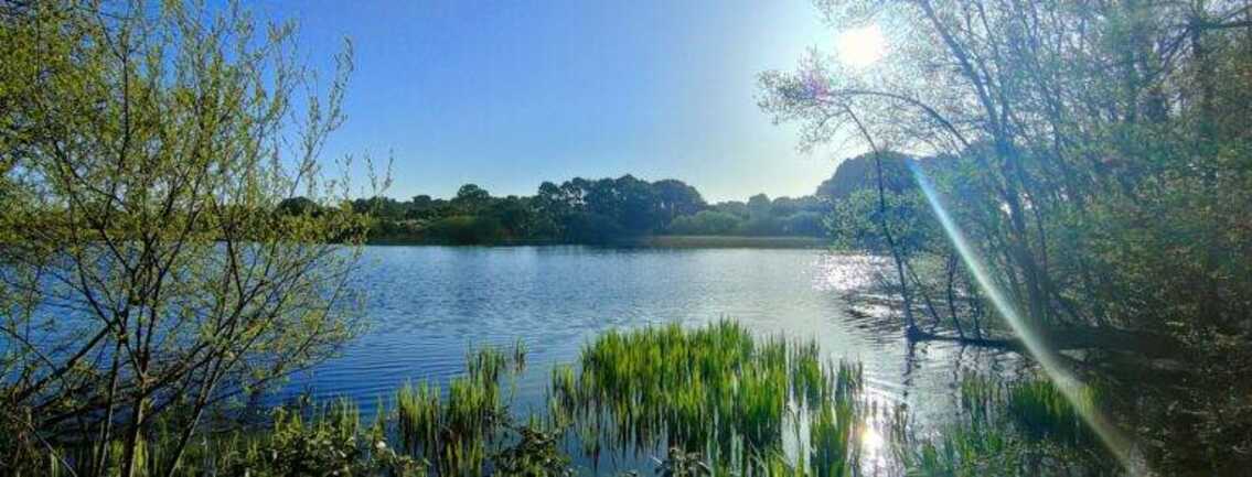 Fête de la Nature - Saint-Philibert
