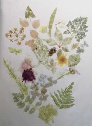 ATELIER EMPREINTES VEGETALES