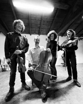 Quatuor Zoltan
