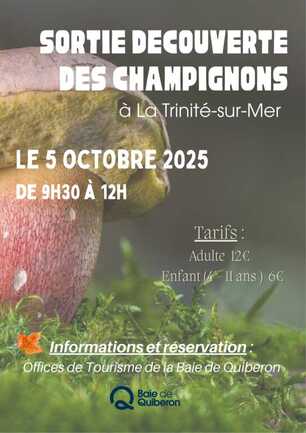 Sortie découverte des champignons