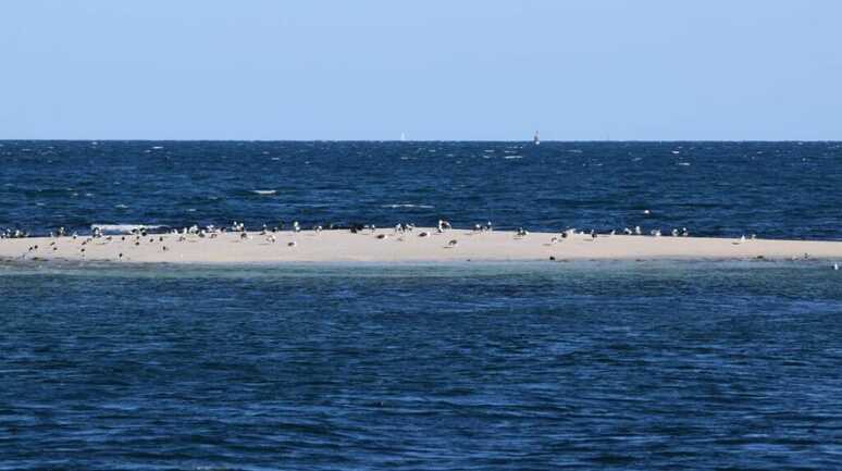 1935-1771592644-66449@1200