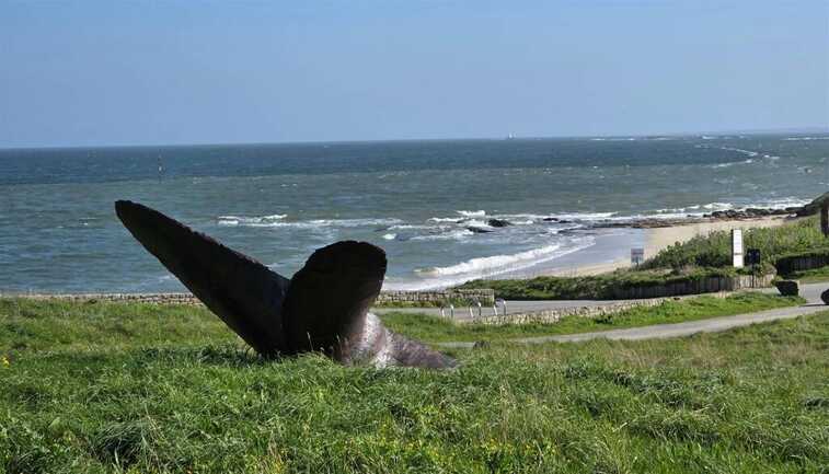 M_20260302_151746 (1)