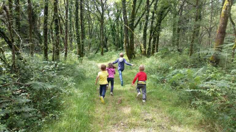 Courir dans la forêt