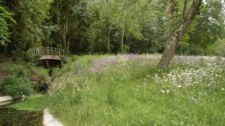 Jardin de la garenne 
