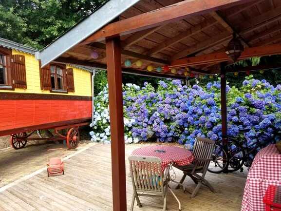 Terrasse-en-bois-semi-ombragee-equipee-d-une-plancha.