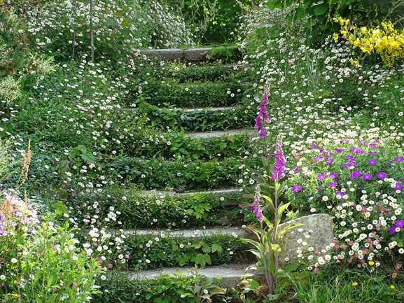 escalier fleuri