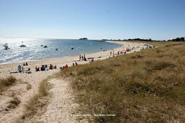 plage-camping-Falaise-locmariaquer-morbihan-bretagne-sud