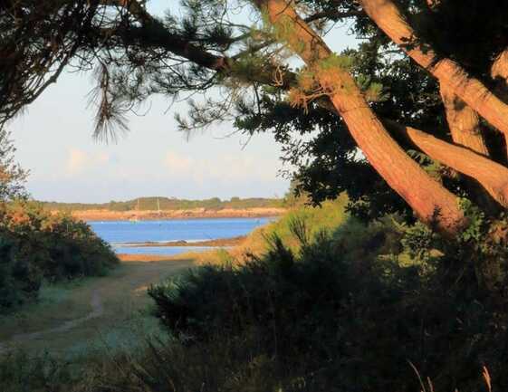 06_Locmariaquer_Camping de la Tour_Accès à la plage de Kerinis à 300m