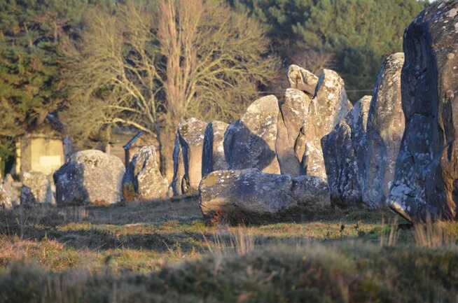 proche menhirs de Carnac