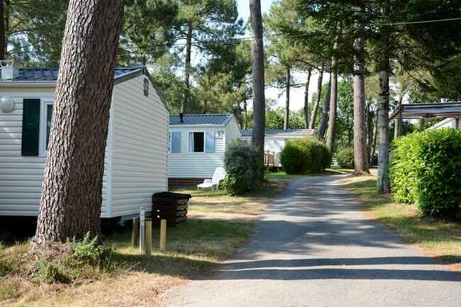 Camping-de-Kergo-Morbihan-Bretagne-Sud