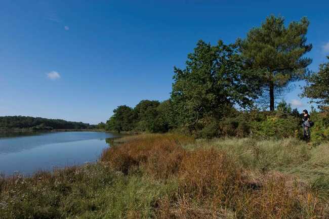 Randonnée du listoir à Landévant