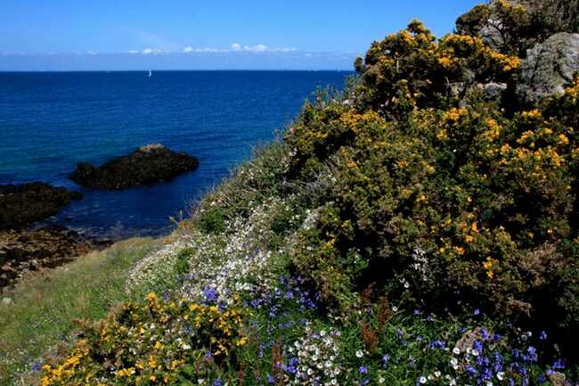 Dunes - Ile d Houat - Morbihan Bretagne sud