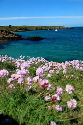 Dunes - Ile d Houat - Morbihan Bretagne sud