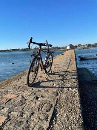 Les vélos de la Ria