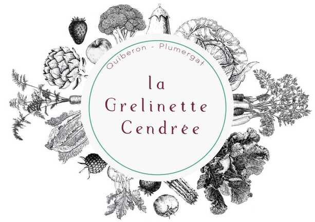 NephtysGraphicQuiberon6