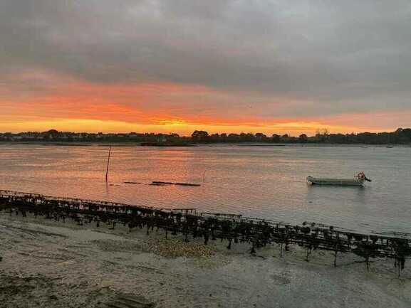 Belz---Larmor-Ostrea---Coucher-de-soleil-a-maree-basse