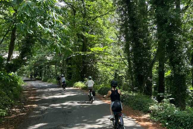  Balade en sous-bois