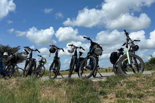  Vélos en pause 