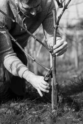 Aurélien_Berthou_27