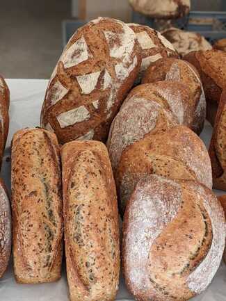 PXL_20240919_142833387.PORTRAIT